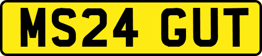 MS24GUT