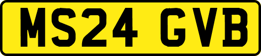 MS24GVB