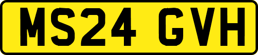 MS24GVH