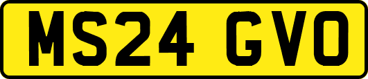 MS24GVO