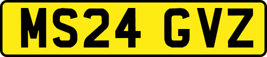 MS24GVZ
