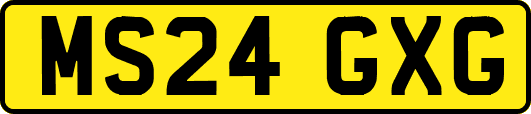 MS24GXG