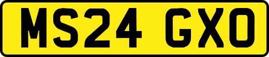 MS24GXO