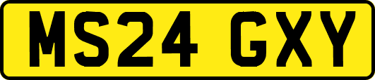 MS24GXY