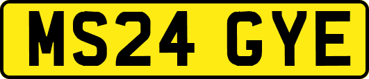MS24GYE
