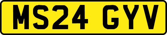 MS24GYV