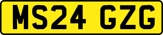 MS24GZG