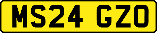MS24GZO