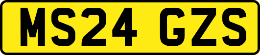 MS24GZS