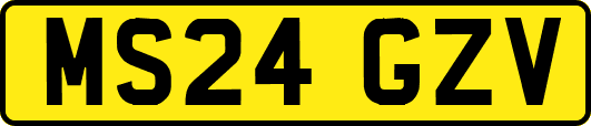 MS24GZV