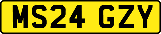 MS24GZY