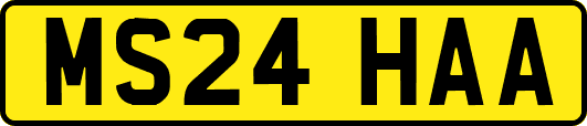 MS24HAA