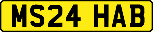 MS24HAB