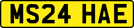 MS24HAE