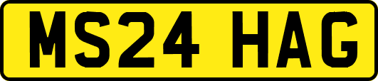 MS24HAG