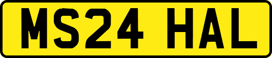 MS24HAL