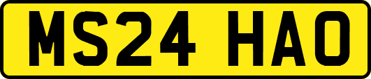 MS24HAO