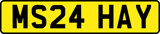 MS24HAY