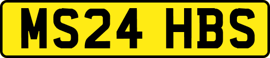 MS24HBS