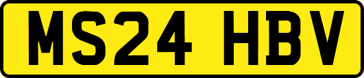 MS24HBV