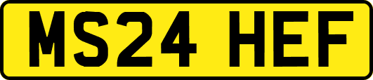 MS24HEF