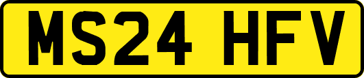 MS24HFV