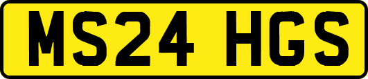 MS24HGS