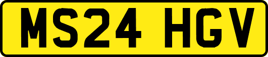 MS24HGV