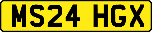 MS24HGX
