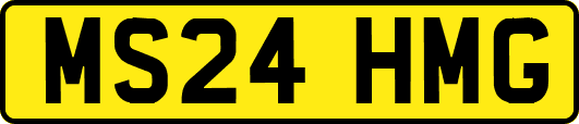 MS24HMG