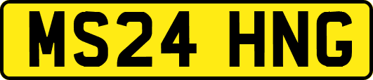 MS24HNG
