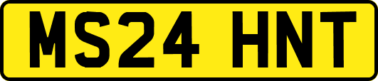 MS24HNT
