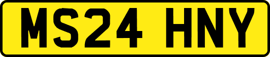 MS24HNY