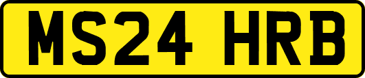 MS24HRB