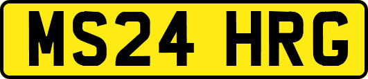 MS24HRG