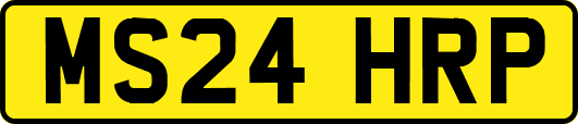 MS24HRP
