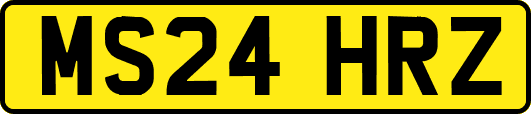 MS24HRZ