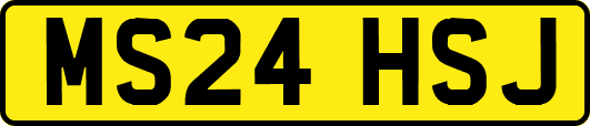 MS24HSJ
