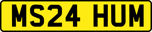 MS24HUM