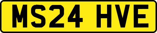 MS24HVE