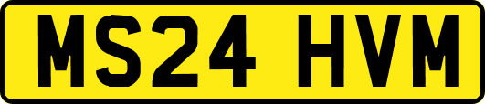 MS24HVM