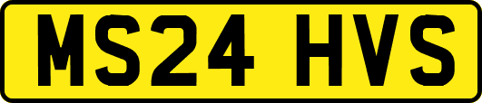 MS24HVS