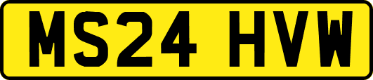 MS24HVW