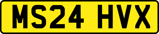 MS24HVX