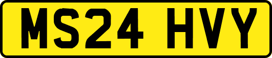 MS24HVY
