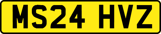 MS24HVZ