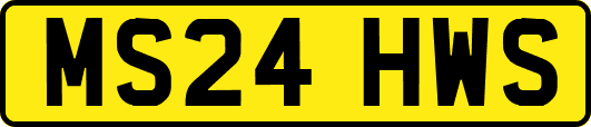 MS24HWS