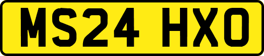 MS24HXO