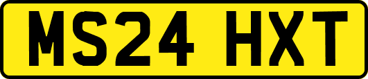 MS24HXT
