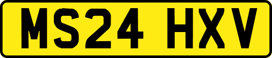 MS24HXV